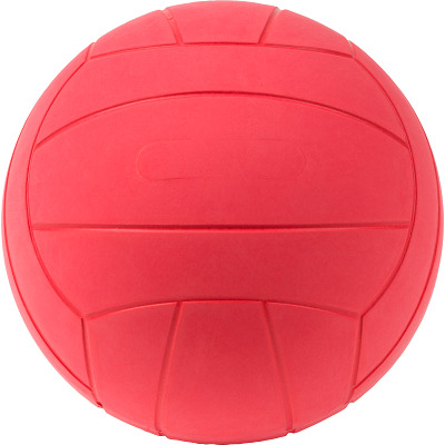 WV Blindenfussball