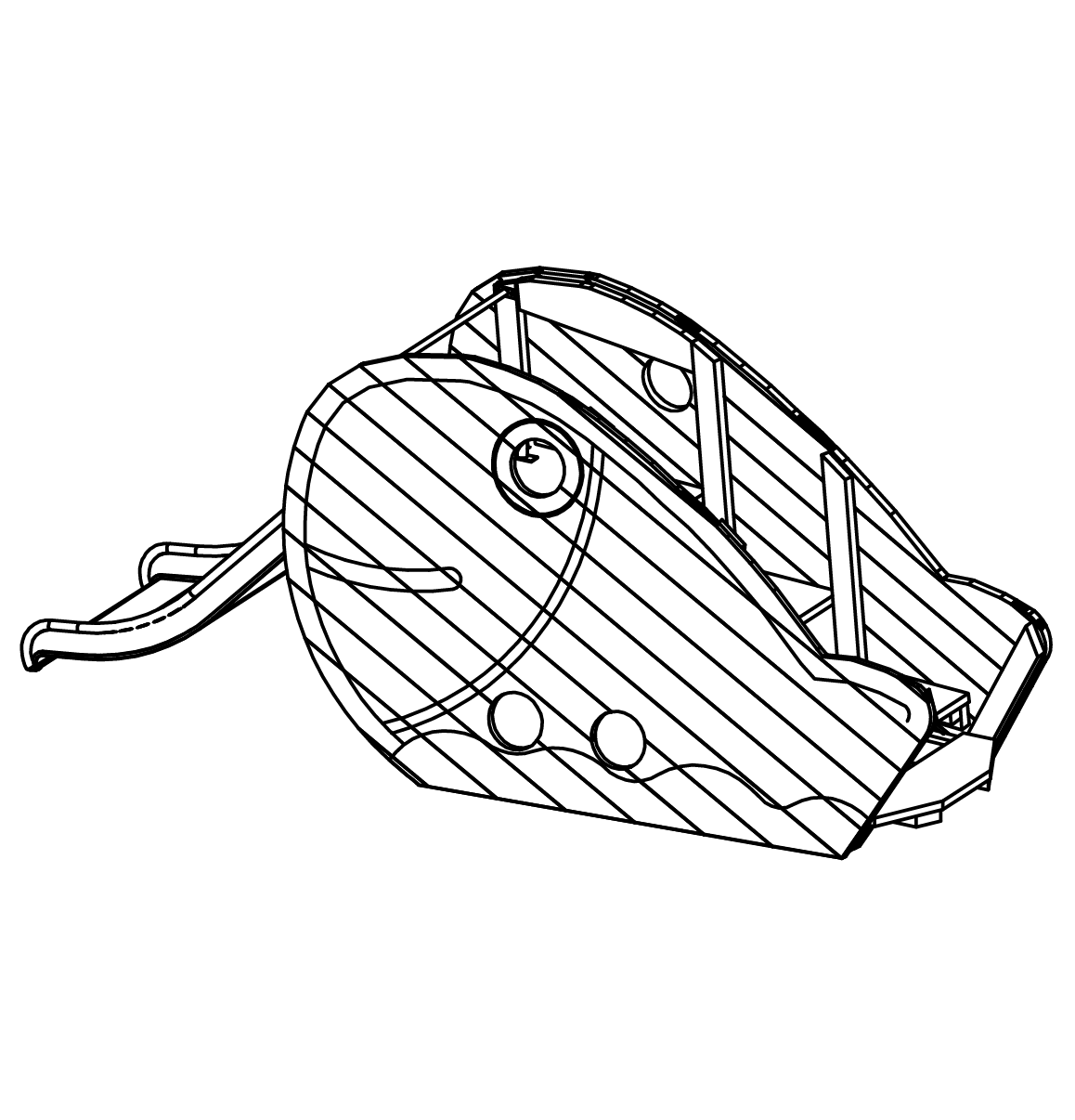 Großer Fisch