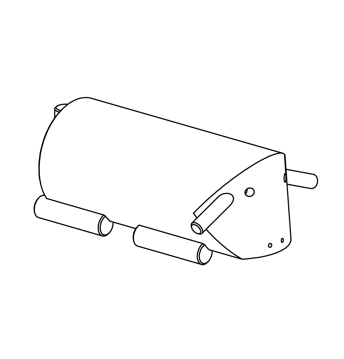 Schaf