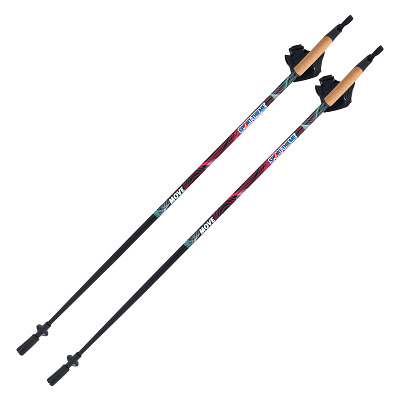 Sport-Thieme Nordic Walking Stöcke „Move“