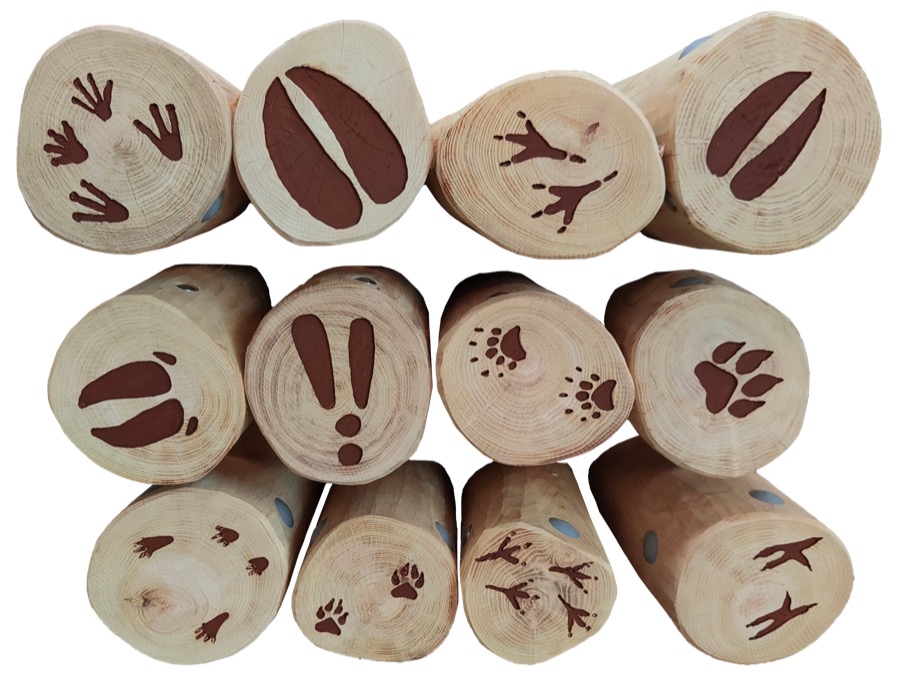 12 Balancierpoller Tierspuren inkl. Infotafel