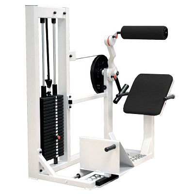 Sport-Thieme Rückenstreck-Maschine „SQ“