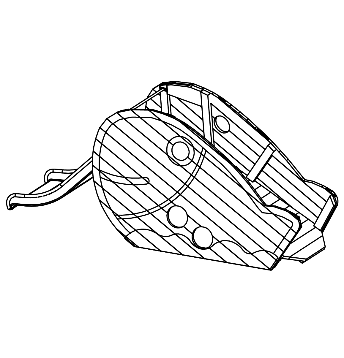 Großer Fisch