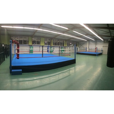 Sport-Thieme Boxring „Training“
