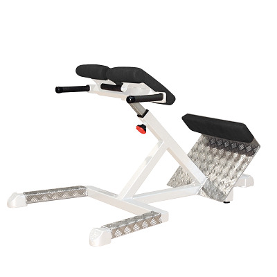 Sport-Thieme Rückenstrecker „SQ“