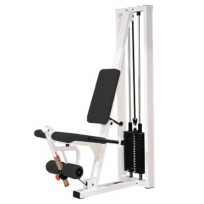 Sport-Thieme Beinstreckermaschine „SQ“