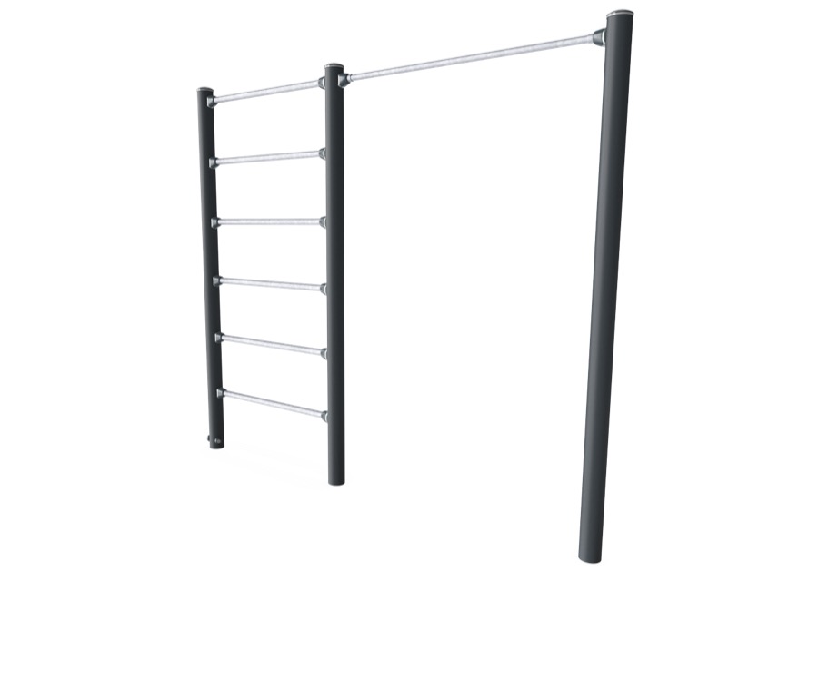 Pull-Up Station FPW208
