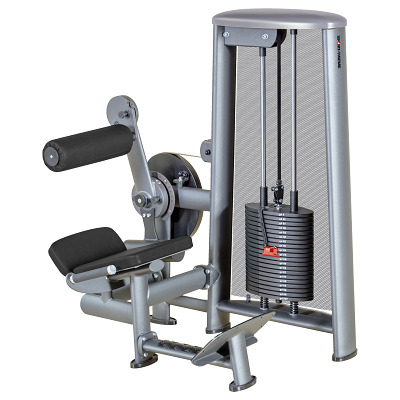 Sport-Thieme Rückenstreck-Maschine „OV“