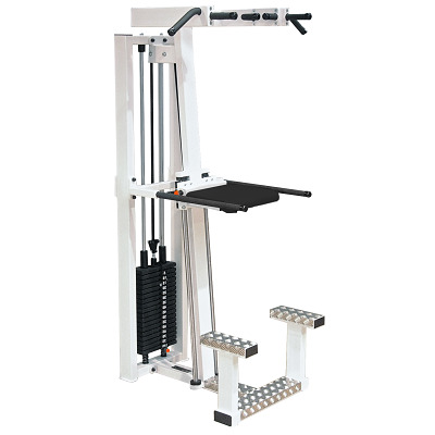 Sport-Thieme Klimmzug- und Dipstation „SQ“