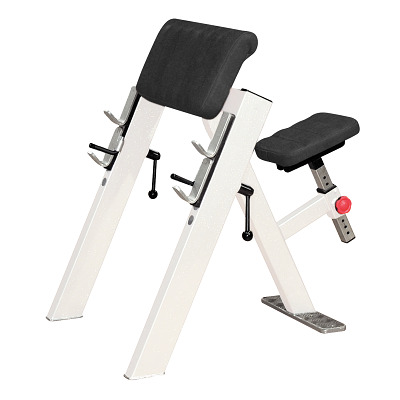 Sport-Thieme Scottbank „SQ“