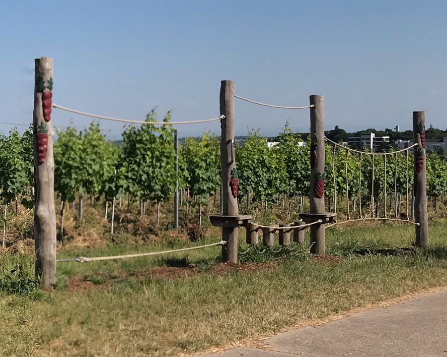 Balancierparcours Weinberg