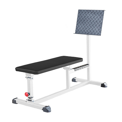 Sport-Thieme Bauchbank „SQ“