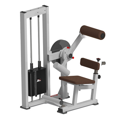 Sport-Thieme Bauch-/Rücken-Maschine „OV“