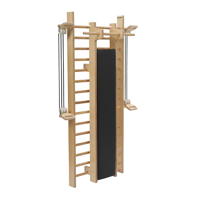 Sport-Thieme Sprossenwand „Fit“