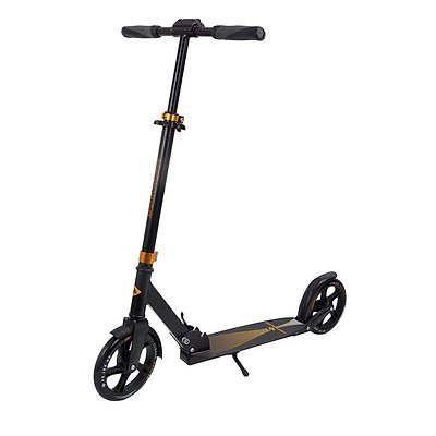 Schildkröt Scooter-Roller „Master 2.0“