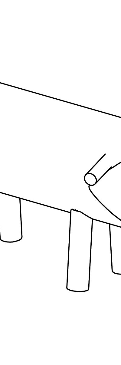 Schaf