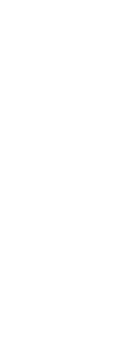 Rufsäulen aus Holz