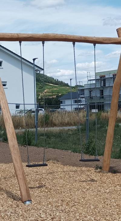 Hochschaukel 2-fach LH300cm