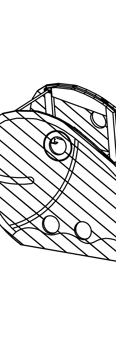 Großer Fisch