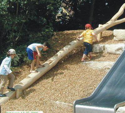 Stammtreppe mit Gabel 6m