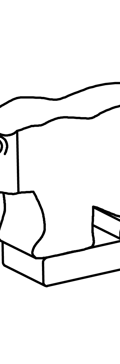 Eisbärin
