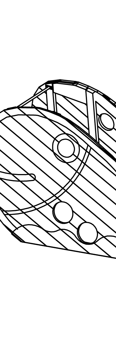 Großer Fisch