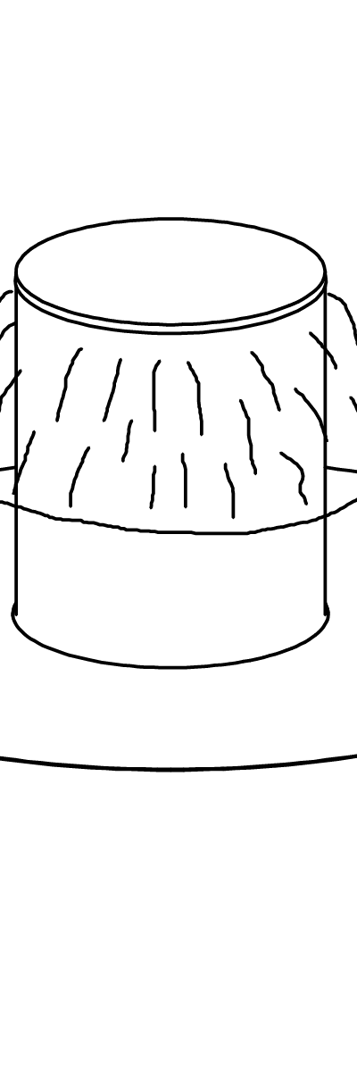 Wasserpilz