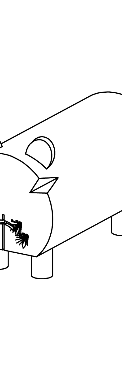 Katze