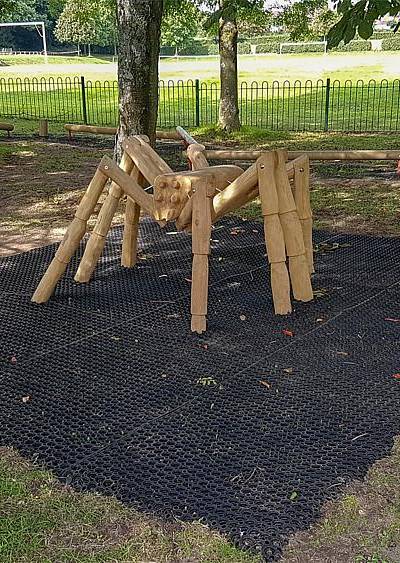 Kletterspinne Thekla