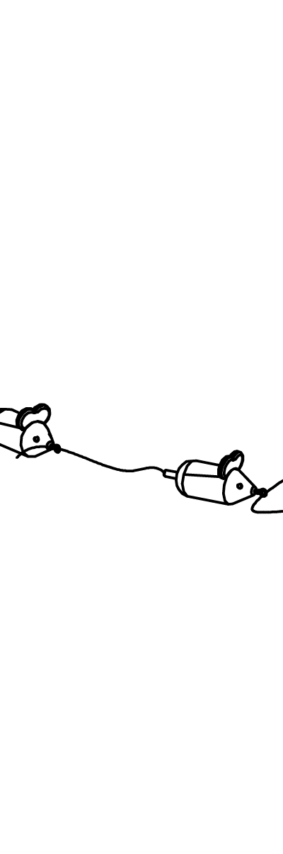Tanzmaus