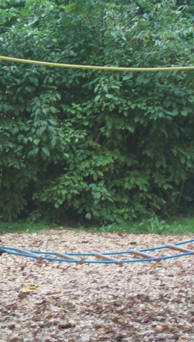 Strickleiter waagerecht 3m mit Halteseil