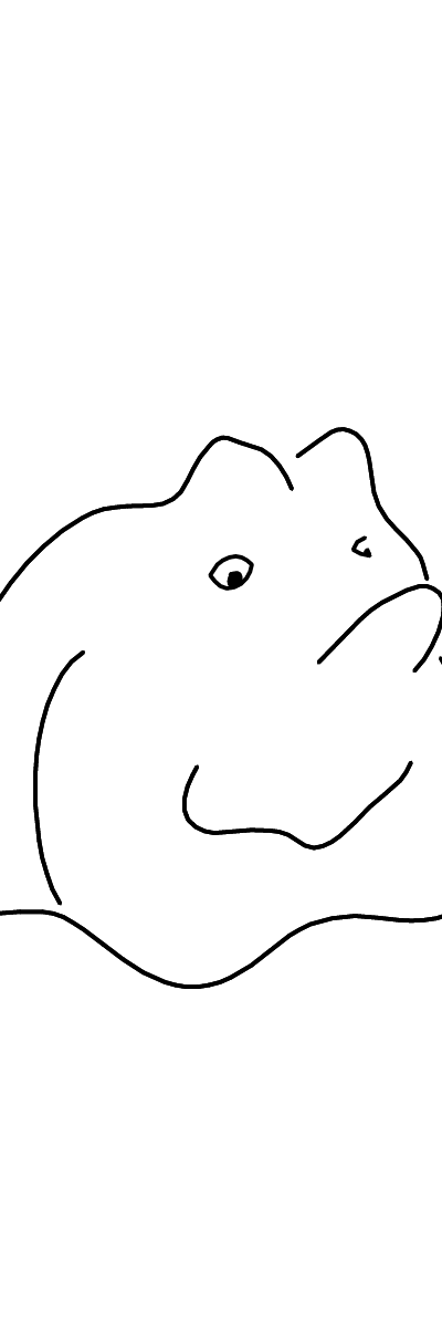 Streichelstein Frosch