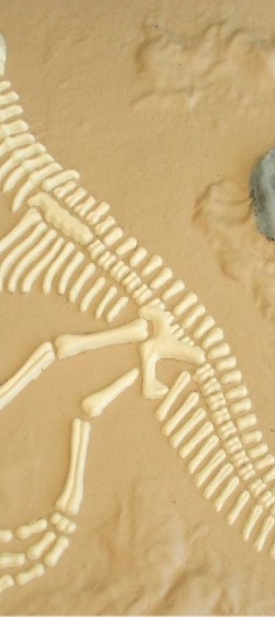 Dino Sandkasten Basis