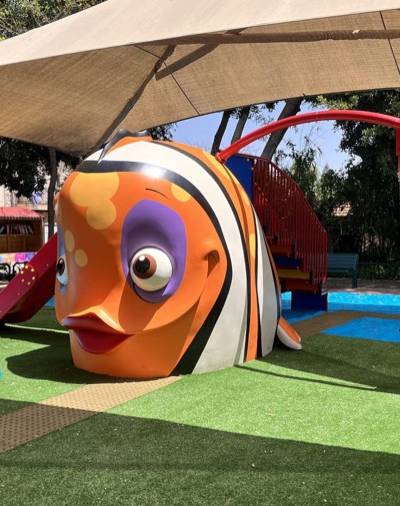 Der Clownfisch
