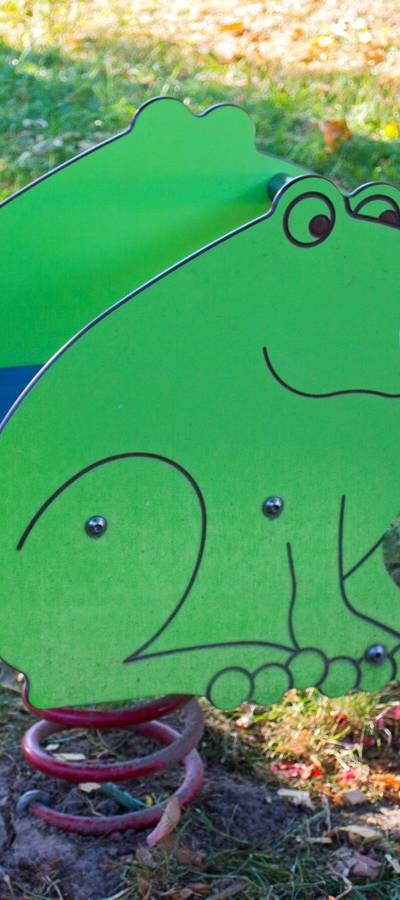 Wippgerät Frosch Fridolin -