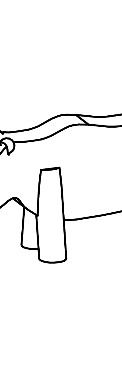 Nashorn