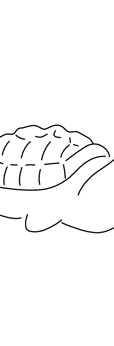 Streichelstein Schildkröte