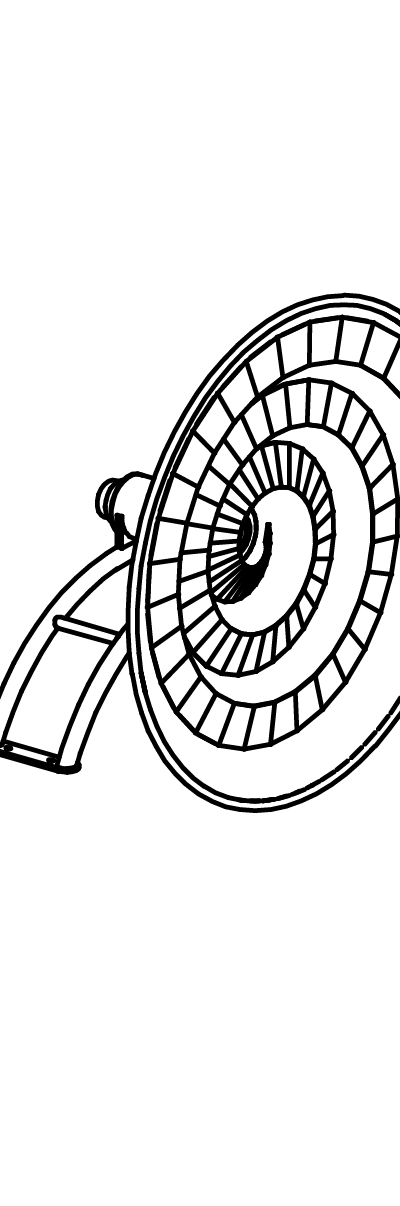 Nautilusschnecke