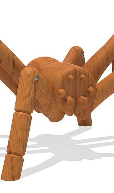 Kletterspinne Thekla