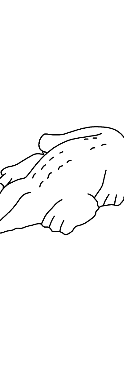 Streichelstein Kleines Krokodil