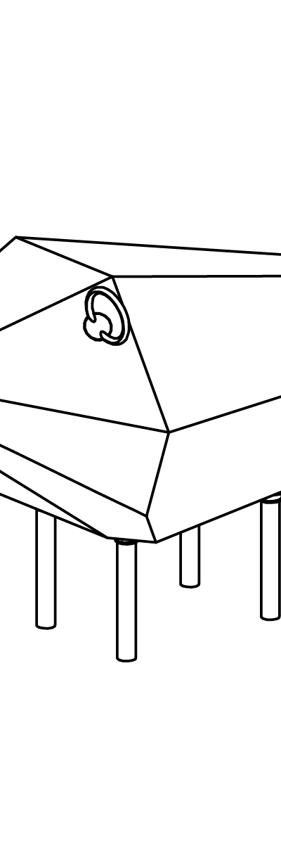 Wackelwildschwein