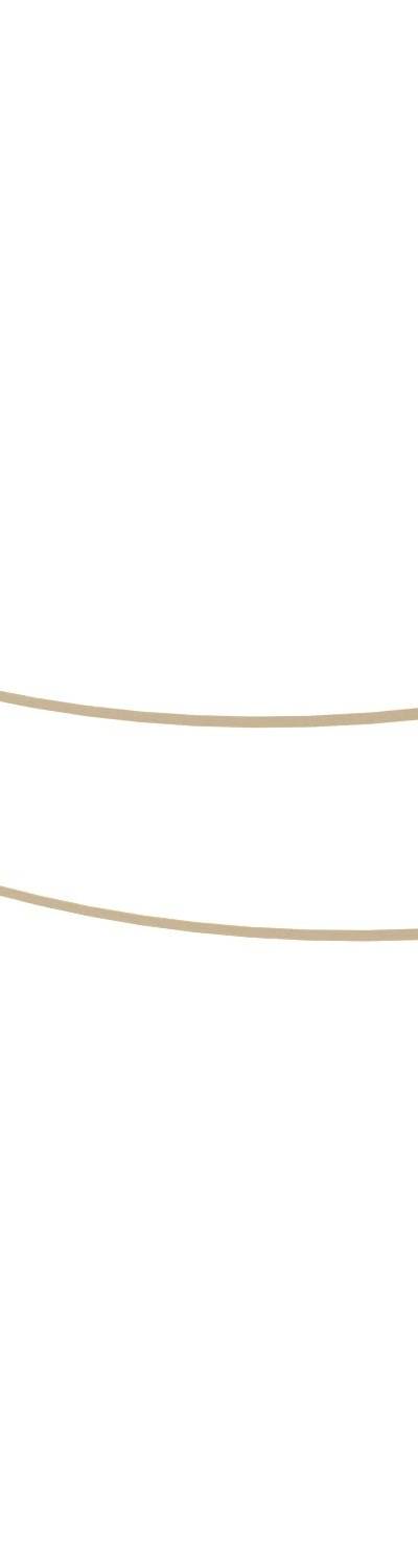 Vinci ROBINIA RB1396