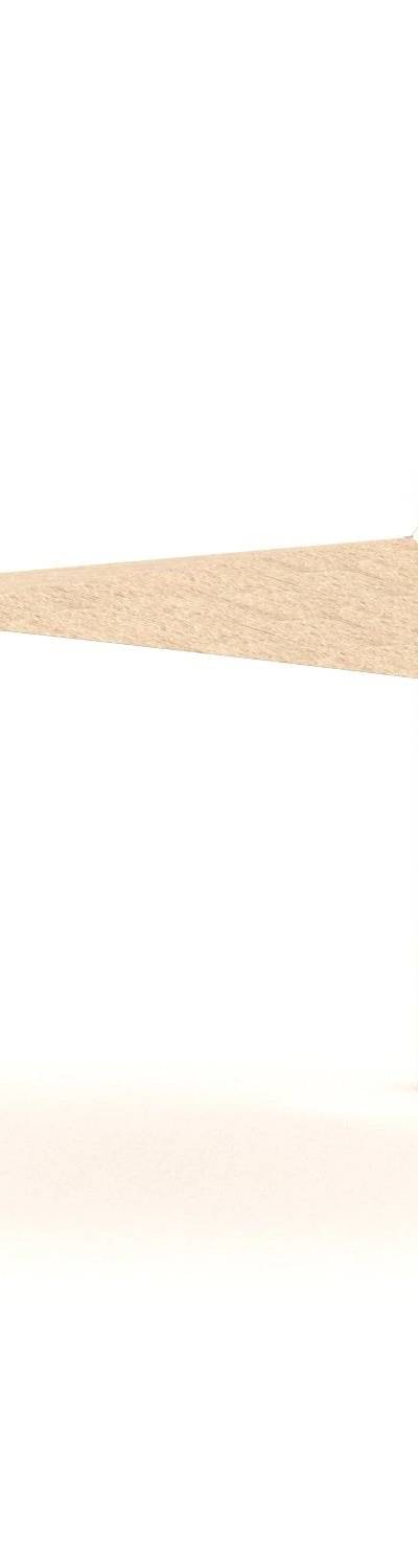 Vinci ROBINIA RB1389