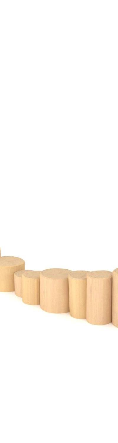 Vinci ROBINIA RB1269